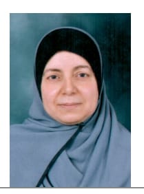 Amany Helmy Mahmoud Lashin